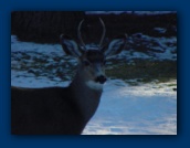 But the buck stops here.